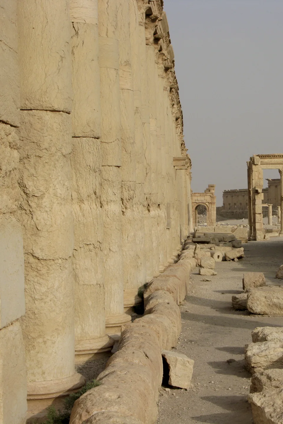 Palmyra — Bride of the Desert